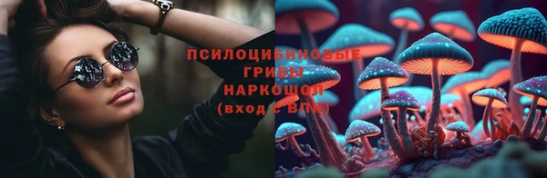 не бодяженный Медвежьегорск