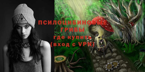 не бодяженный Медвежьегорск