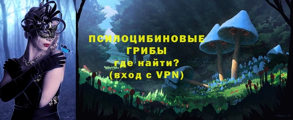 spice Медногорск