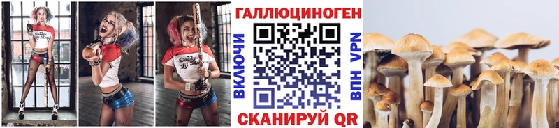 Галлюциногенные грибы Cubensis  Приволжский 